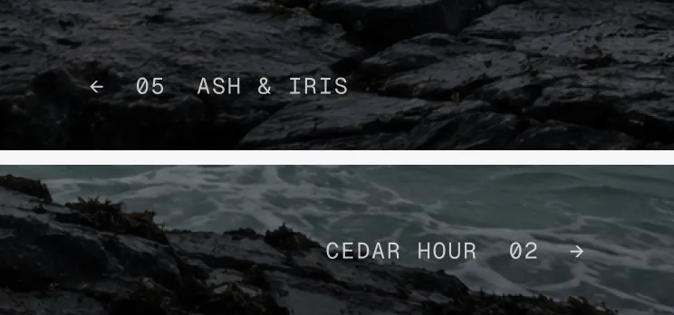 Previous and next product names